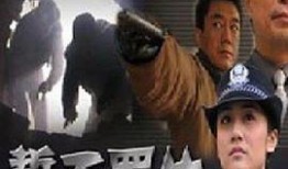 电视剧重案六组第一部全集在线观看,揭秘刑侦精英的破案传奇