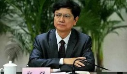 郑强最新爆料视频播放,事件真相与背后故事