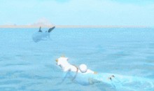 鲨鱼最新爆料,娱乐圈幕后真相大曝光！